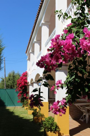 Apartamentos Bolonia Paraiso, Bolonia